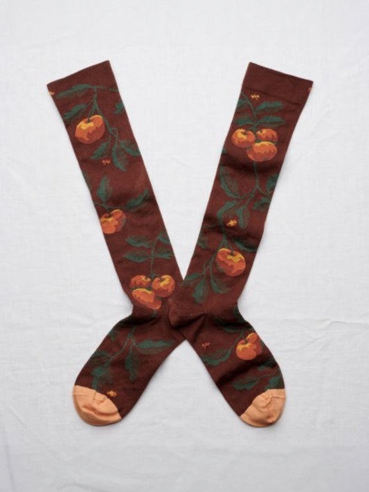 MI-BASS POMME CHATAIGNE SOCKS