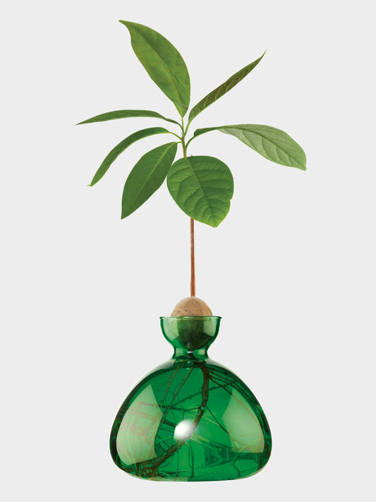 AVOCADO VASE EMERALD GREEN